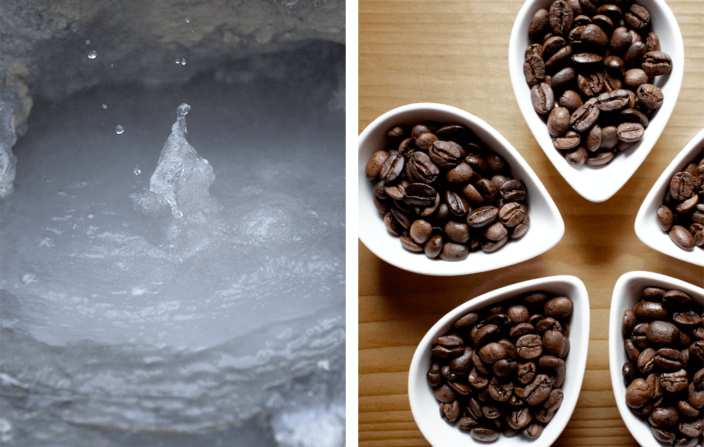 温泉とコーヒー豆