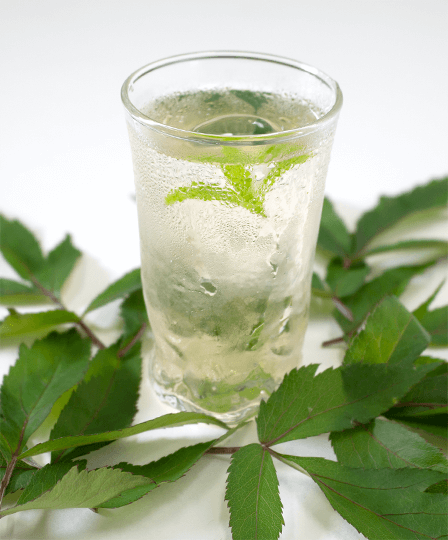 「神の山参茶」ティーソーダイメージ