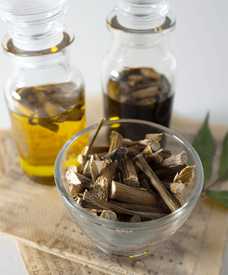 日本山人参の茎+オリーブオイルイメージ